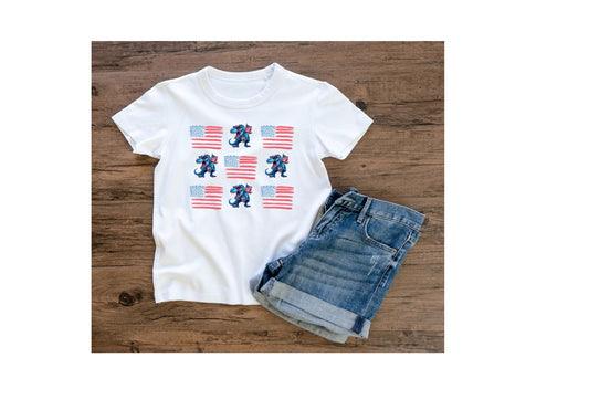 Kids Dino and flags
